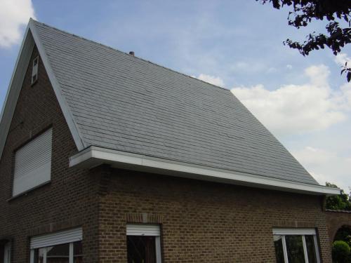 jansen 1982 007